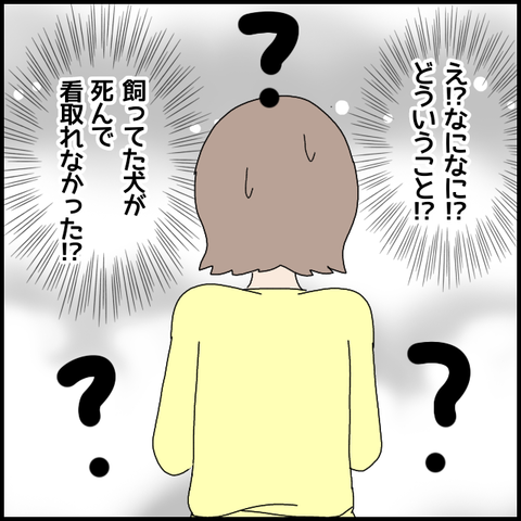無題5385_20220630215309