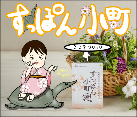 バナー画像