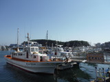 DSCF2266