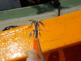 DSCN2065