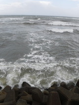 DSCF7438