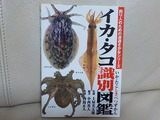 DSCN0091