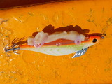 DSCN2053