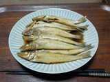 DSCN5480