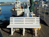 DSCN2981