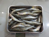 DSCN3841