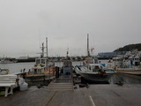 DSCN4863