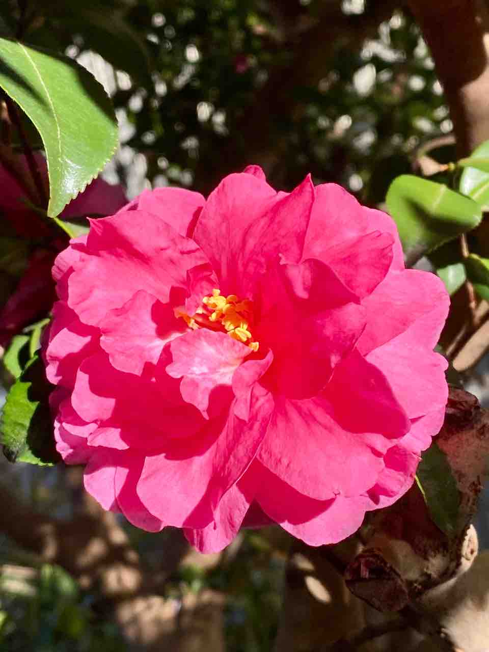 12/14(��)��������Ϥ��٤ߤǤ�