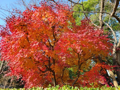 20201213_094650