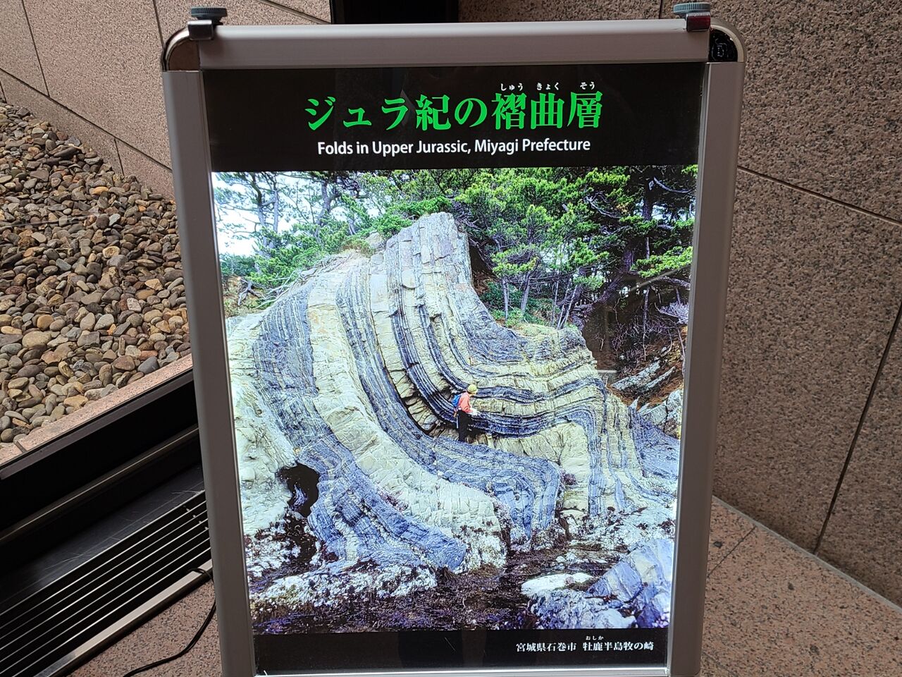 ポタリング つくば市街 ゆかりの森 つくば公園通り 洞峰公園 産総研地質標本館 クーロンヌ竹園店 烟霞淡泊
