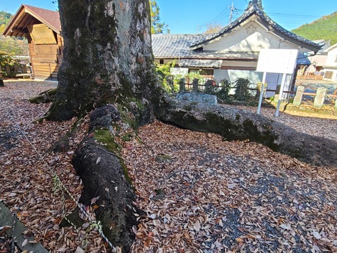 20201115_120405