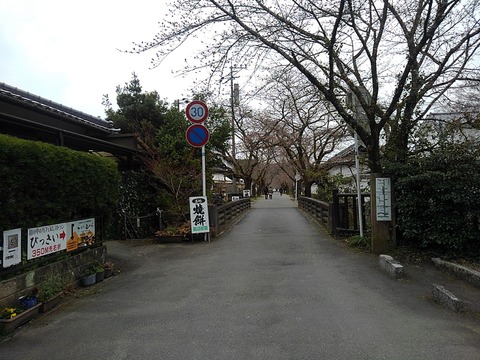KIMG8286