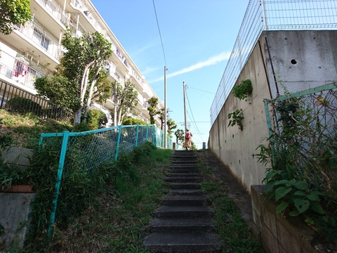 DSC_4704