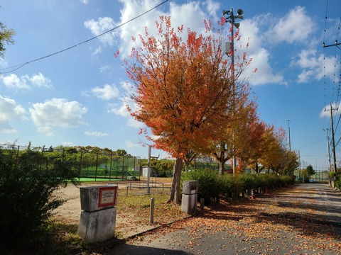 20201119_114254