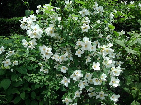 KIMG2245