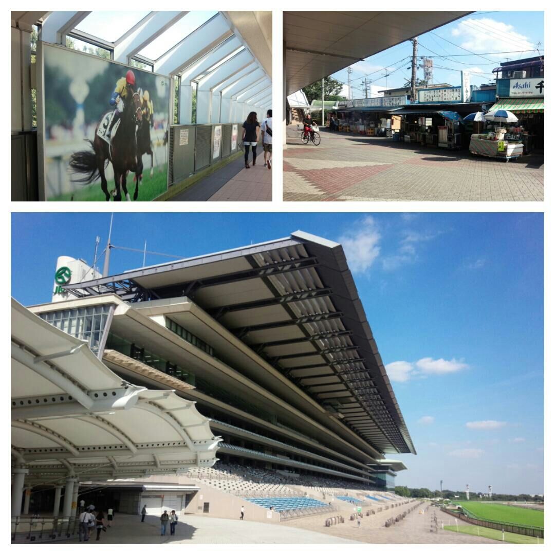 工場見学 全国のビール工場をコンプリートしよう その6 サントリー武蔵野ビール工場 烟霞淡泊