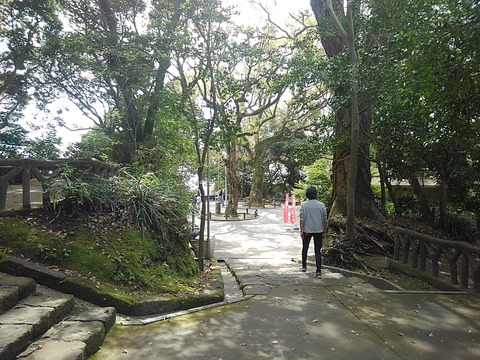 KIMG8007