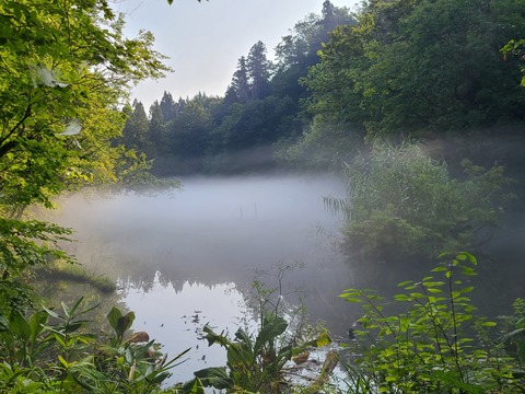 20200821_072218