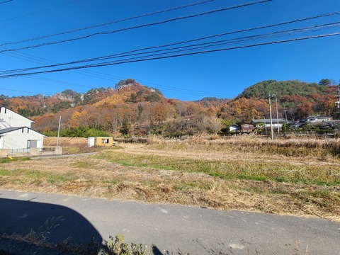 20201115_094639