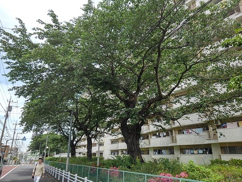 KIMG2268