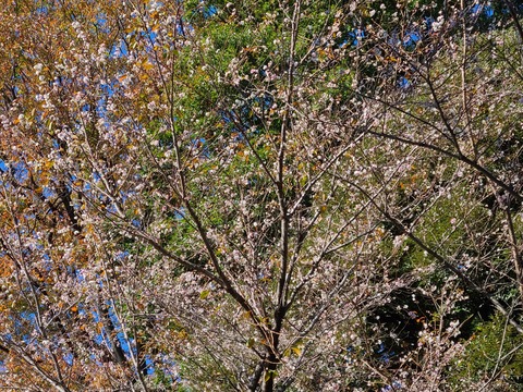 20201121_104302