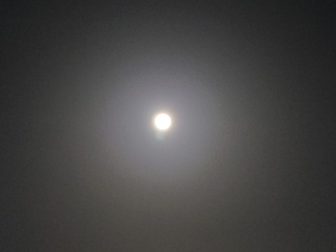 20210227_185656