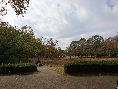 DSC_4877