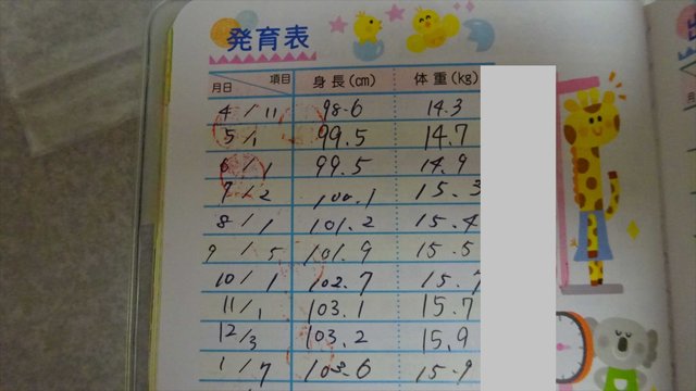 身体測定の結果 はじめてのおつかい 新潟近郊温泉日記