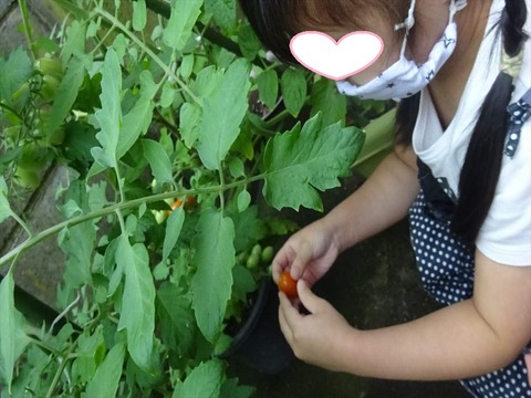 DSC09778_R