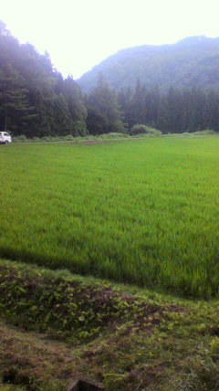 2010080414180000