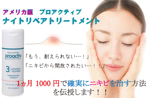 アメリカ版プロアクティブ１