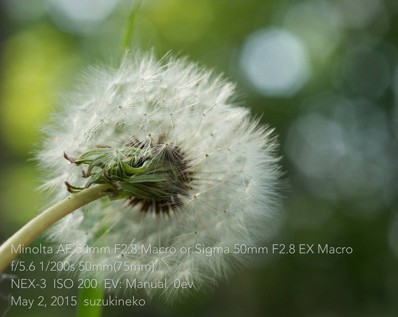 ミノルタα50F2.8マクロ Amazon.co.jp: Minolta AF レンズ 50mm F2.8 Macro : 家電＆カメラ