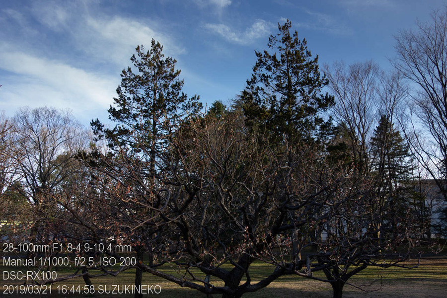 Lr8-20190321-_DSC4532-RX100