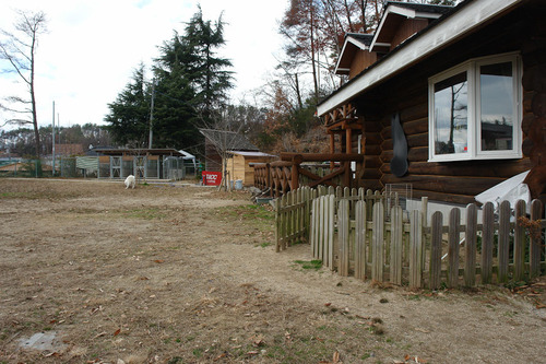 DSC09535