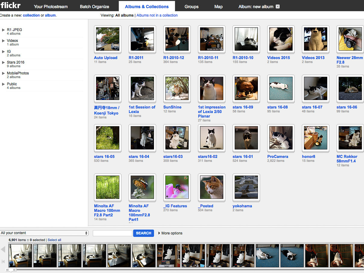 Flickrの無料アカウント斬り Proへの移行価値はあるのか 猫の鼻 Suzukineko Photo Blog