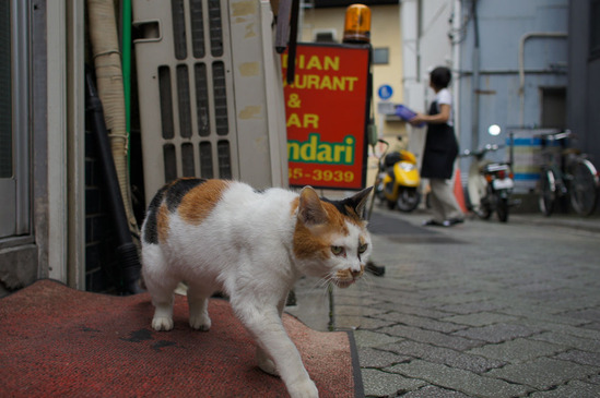 asagaya1018-DSC01019