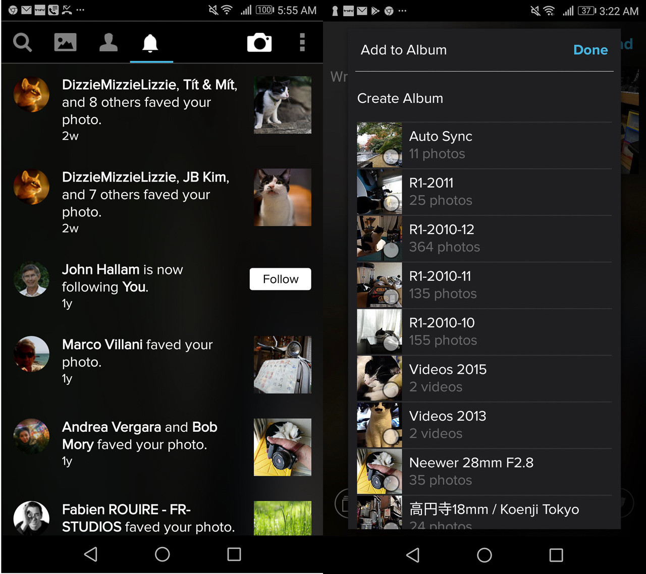 Flickrの無料アカウント斬り Proへの移行価値はあるのか 猫の鼻 Suzukineko Photo Blog