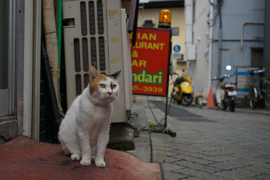 asagaya1018-DSC01014