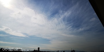 IMG_20220125_124953