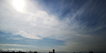 IMG_20220125_125006