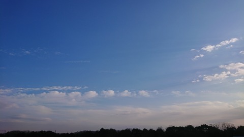 DSC_5454
