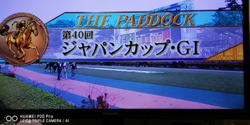 IMG_20201129_150529