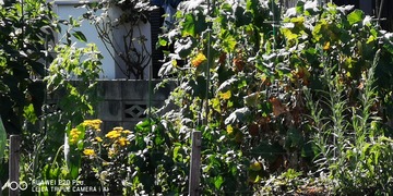 IMG_20210722_150536