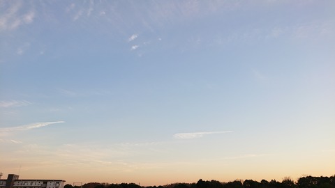 DSC_3856