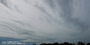 IMG_20211107_095030