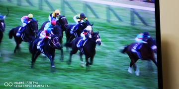 IMG_20201129_154848