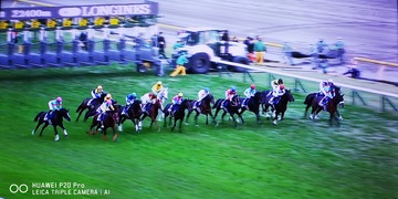 IMG_20201129_154645