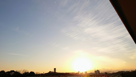DSC_3840~2