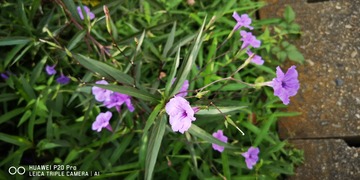 IMG_20210927_150746