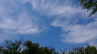 DSC_0612